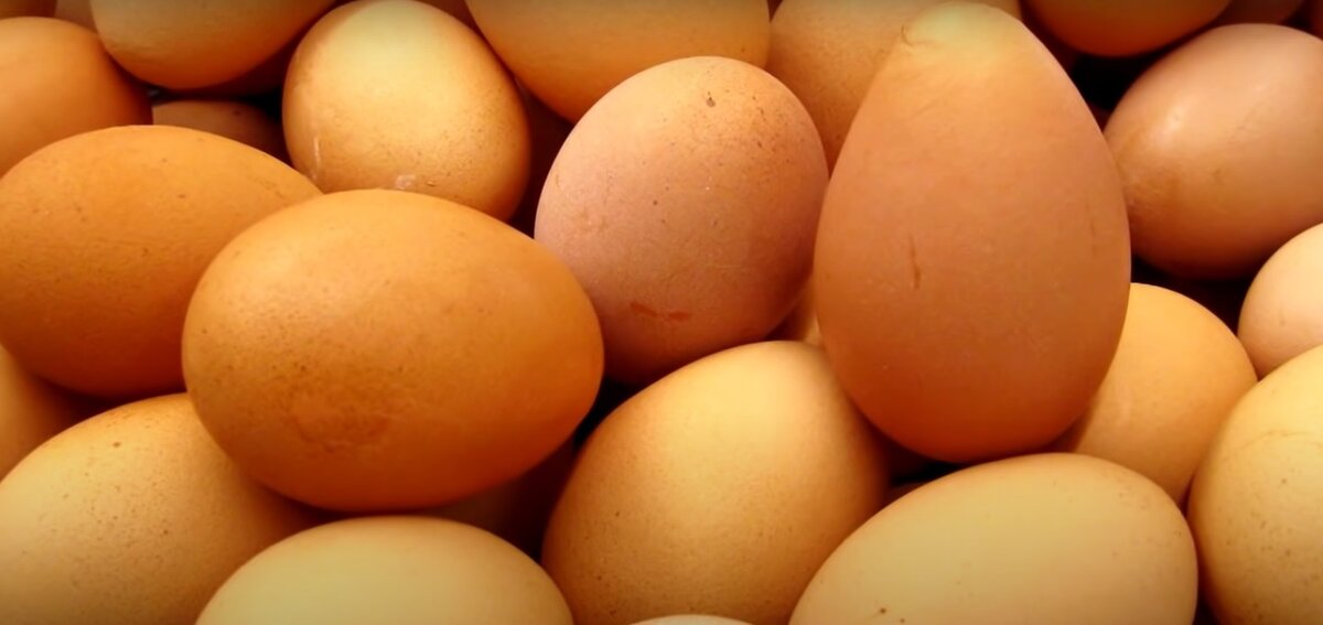 Свежесть яиц. Как определить, свежие ли куриные яца?