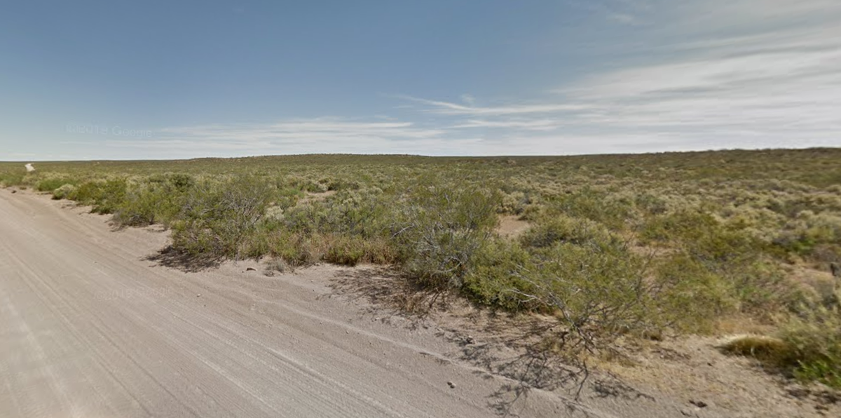 Кустарники и сухие степи центральной Патагонии (окрестности города Пуэрто-Мадрин, провинция Чубут, Аргентина)