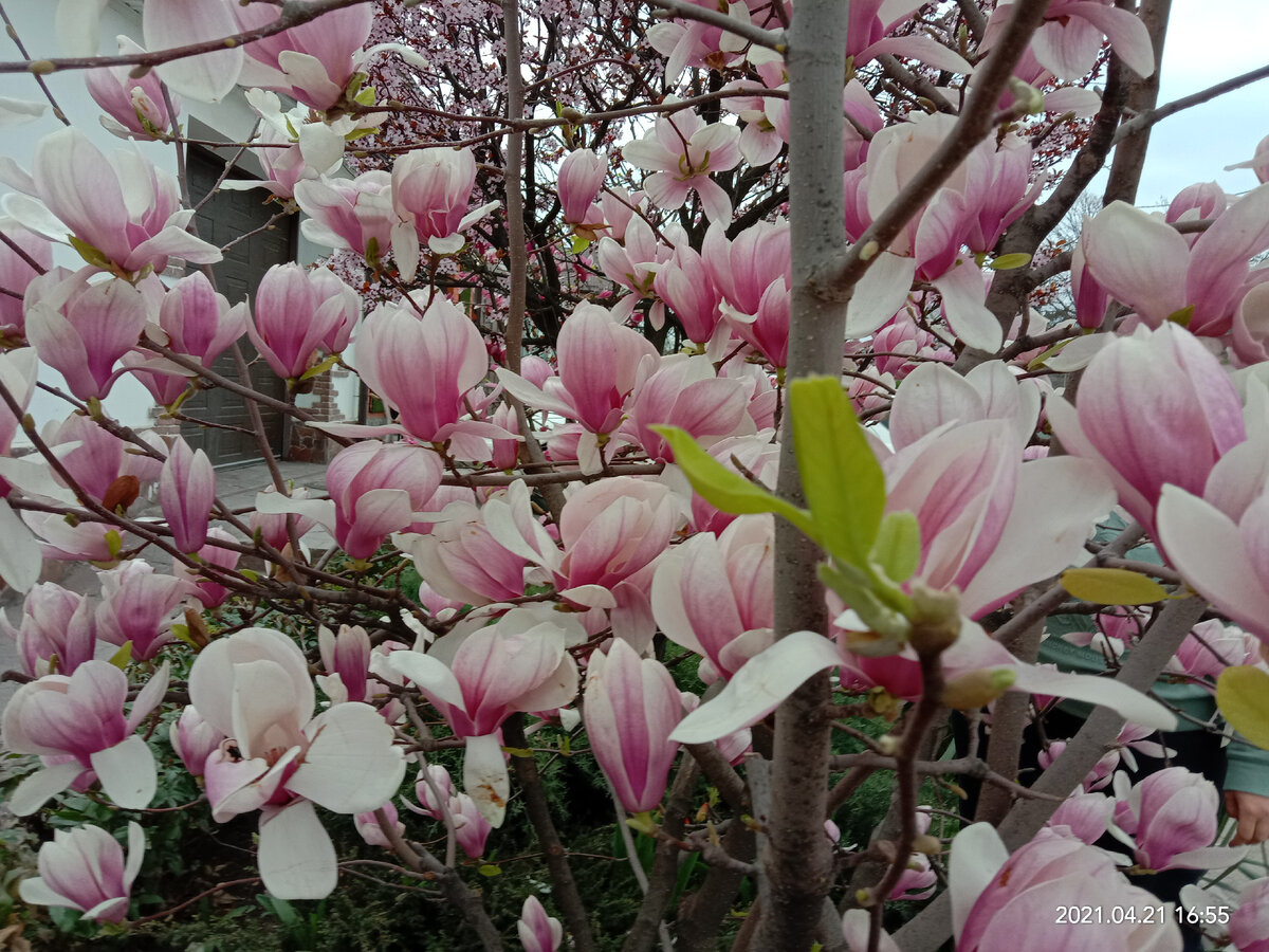 Фото автора канала