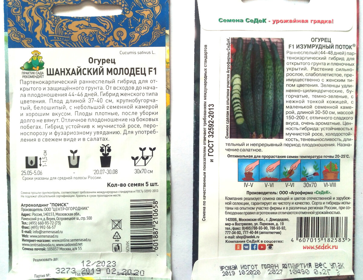 Длинные огурцы