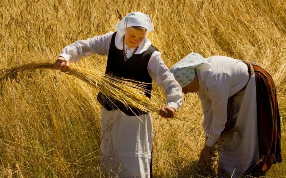 Фото из интернета 