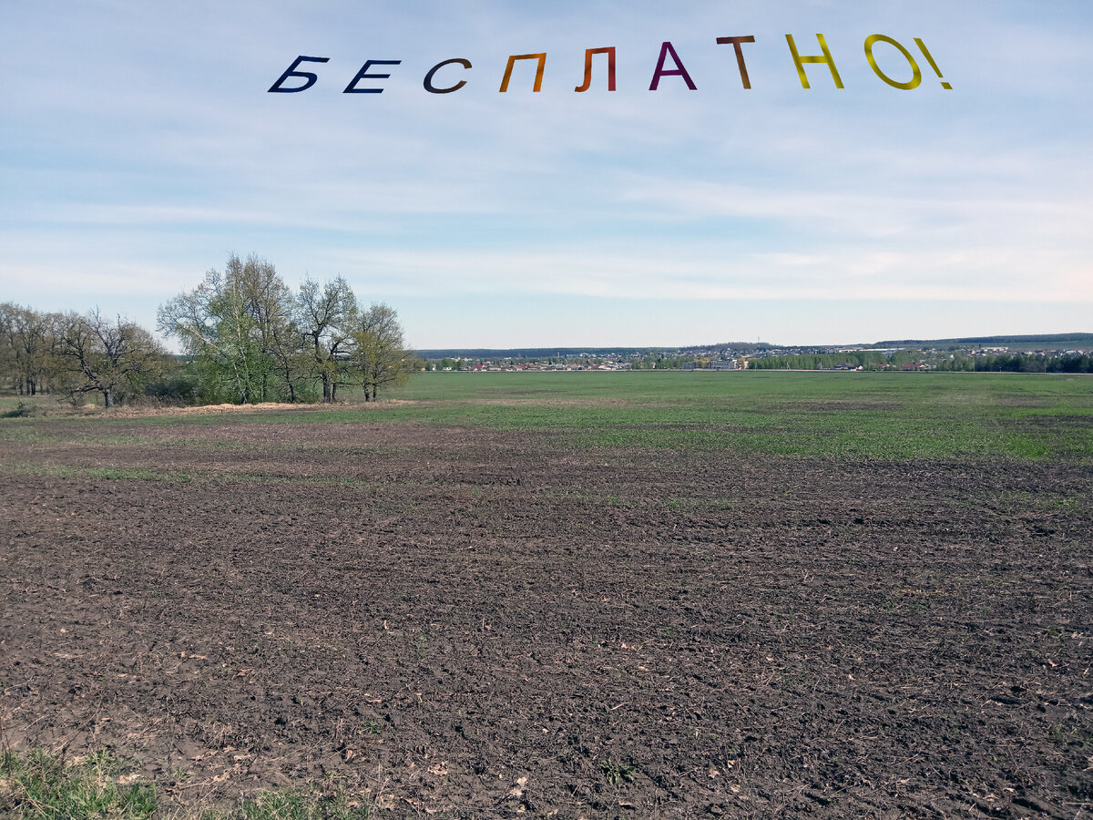 Практически халява