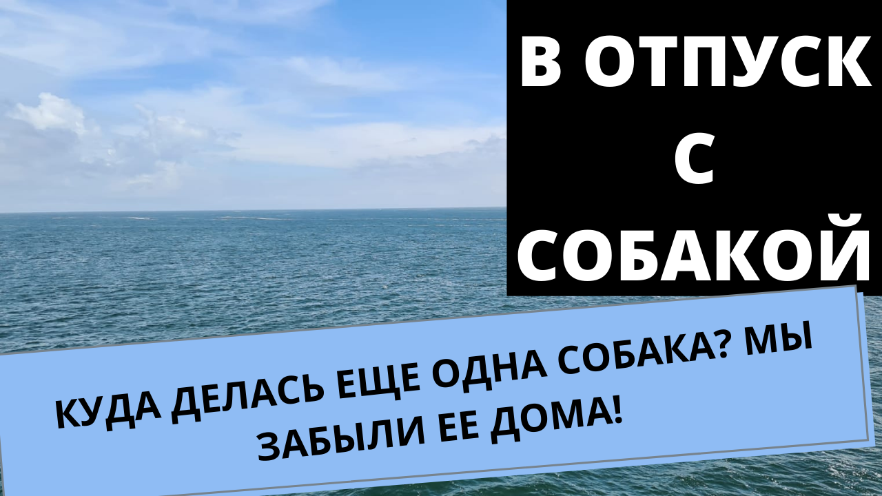 Путешествие с собакой на машине. Где еще одна собака? Отдыхаем с  померанским шпицем на пляже.