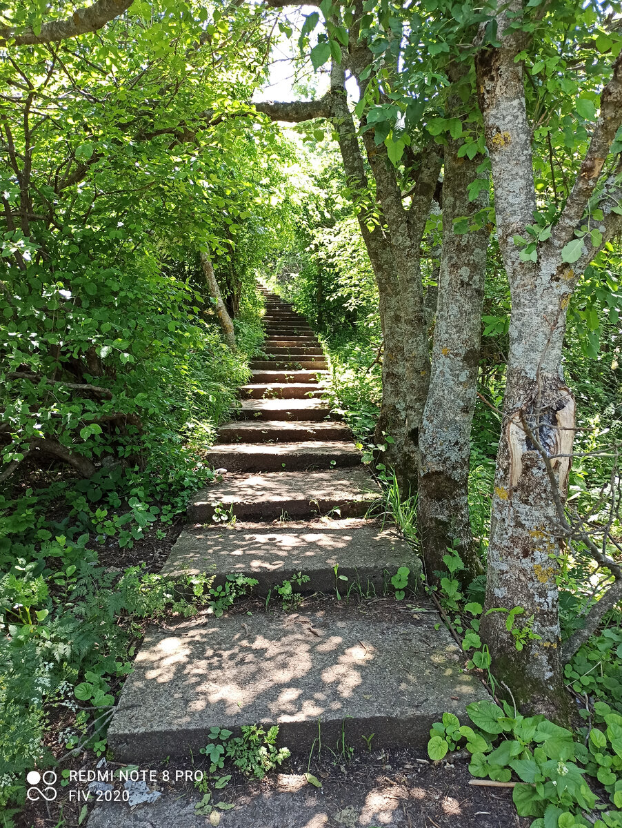 Те самые остатки СССР. 