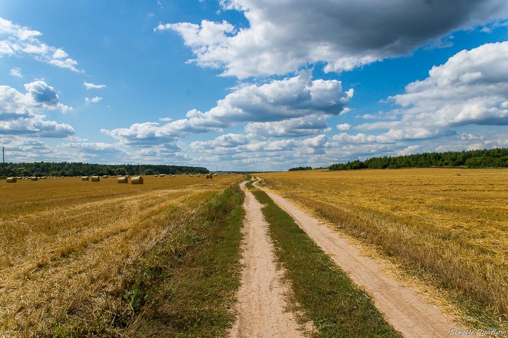 Проселочная дорога. Проселок Проселочная дорога. Проселочная дорога уходящая вдаль. Полевая дорога и Проселочная дорога. Уходящая вдаль Полевая дорога.