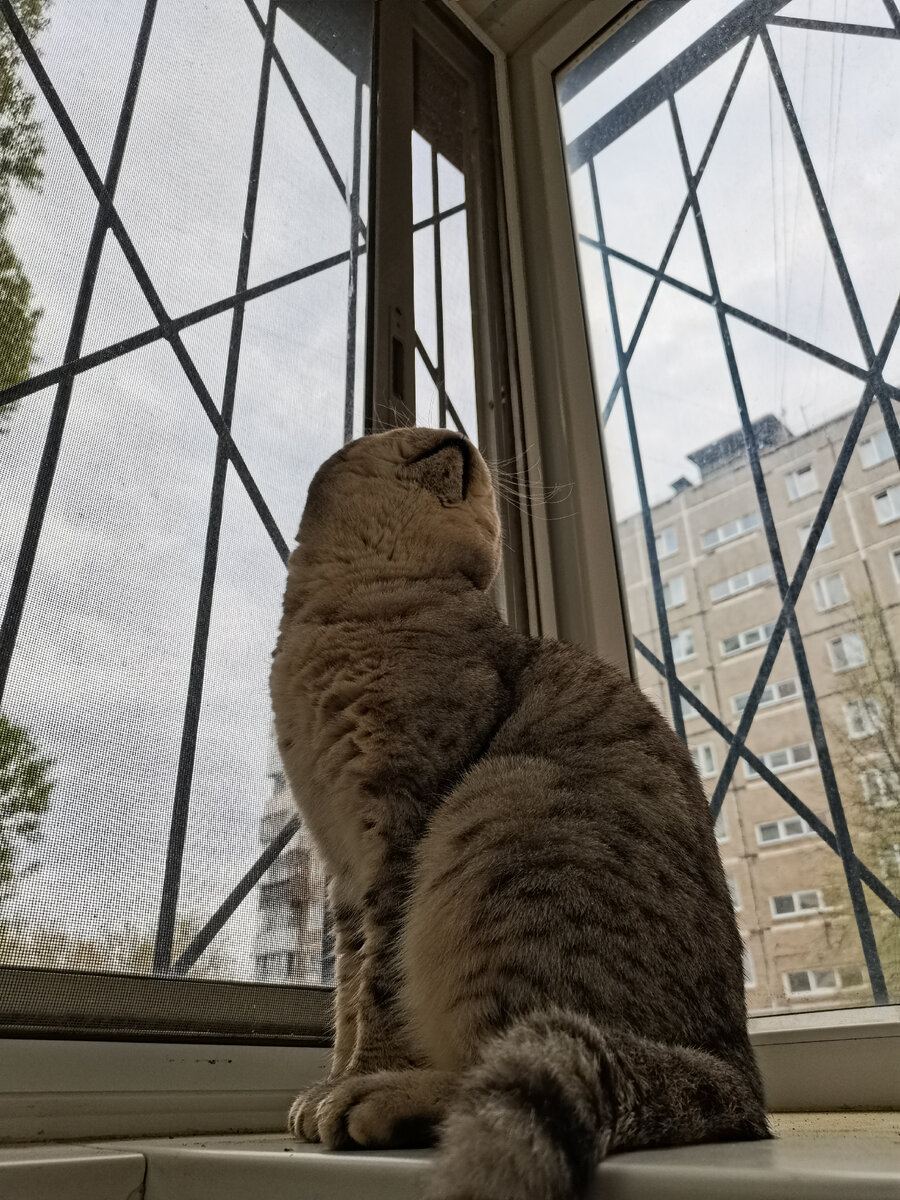 Так и хочется погулять. 