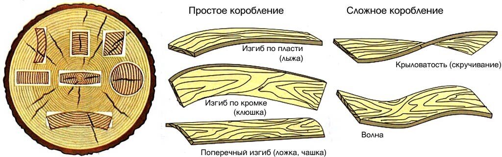 Почему доски. Продольное коробление древесины. Поперечное коробление древесины. Покоробленность древесины схема. Пороки древесины покоробленности.