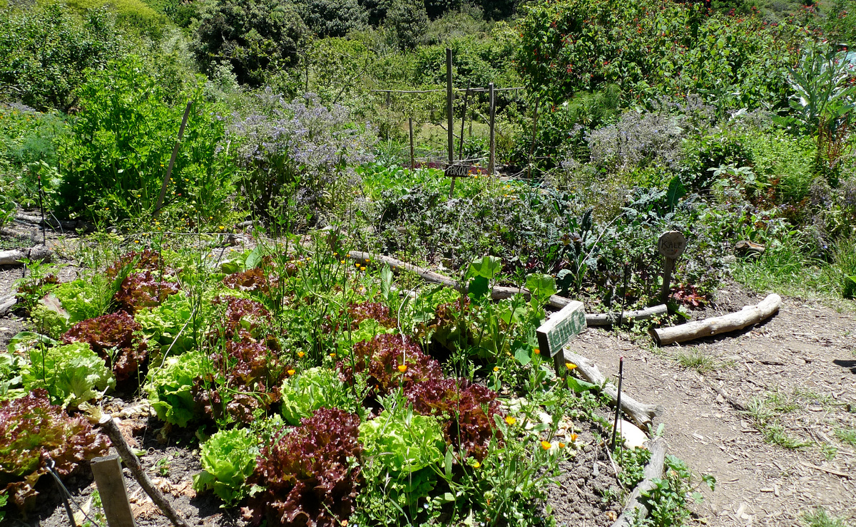 Изображение взято с сервиса Яндекс Картинки