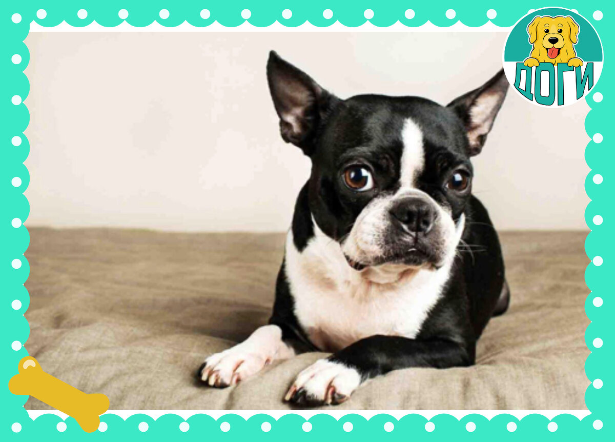 Отдых. Фото в свободном доступе