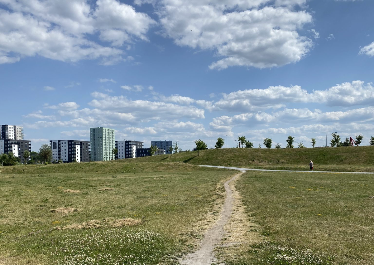 В парке Паэ в Таллине посетителям нравится протаптывать новые тропинки