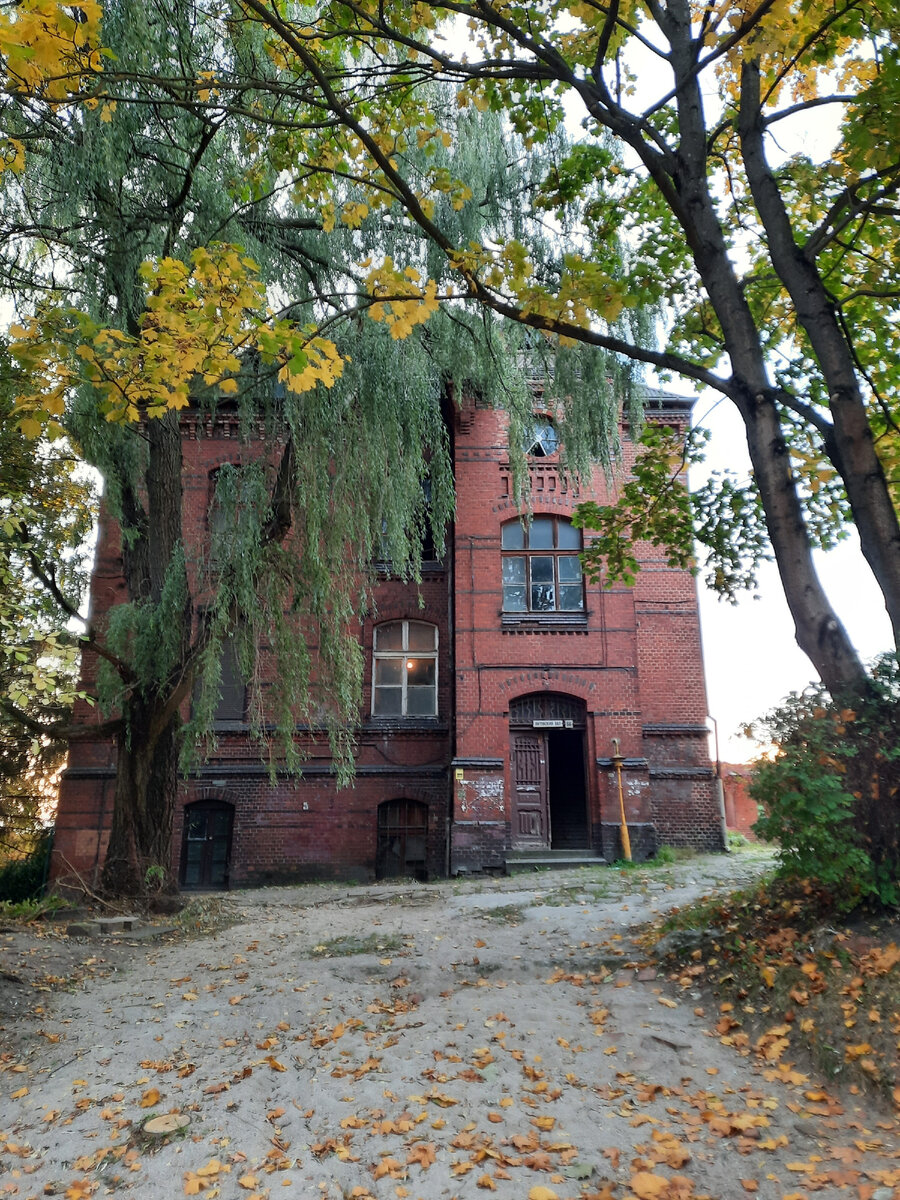 Вот такой красавец притаился за раскидистой ивой.