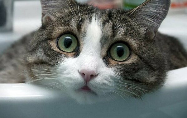 Причин конечно может быть больше, но это основные