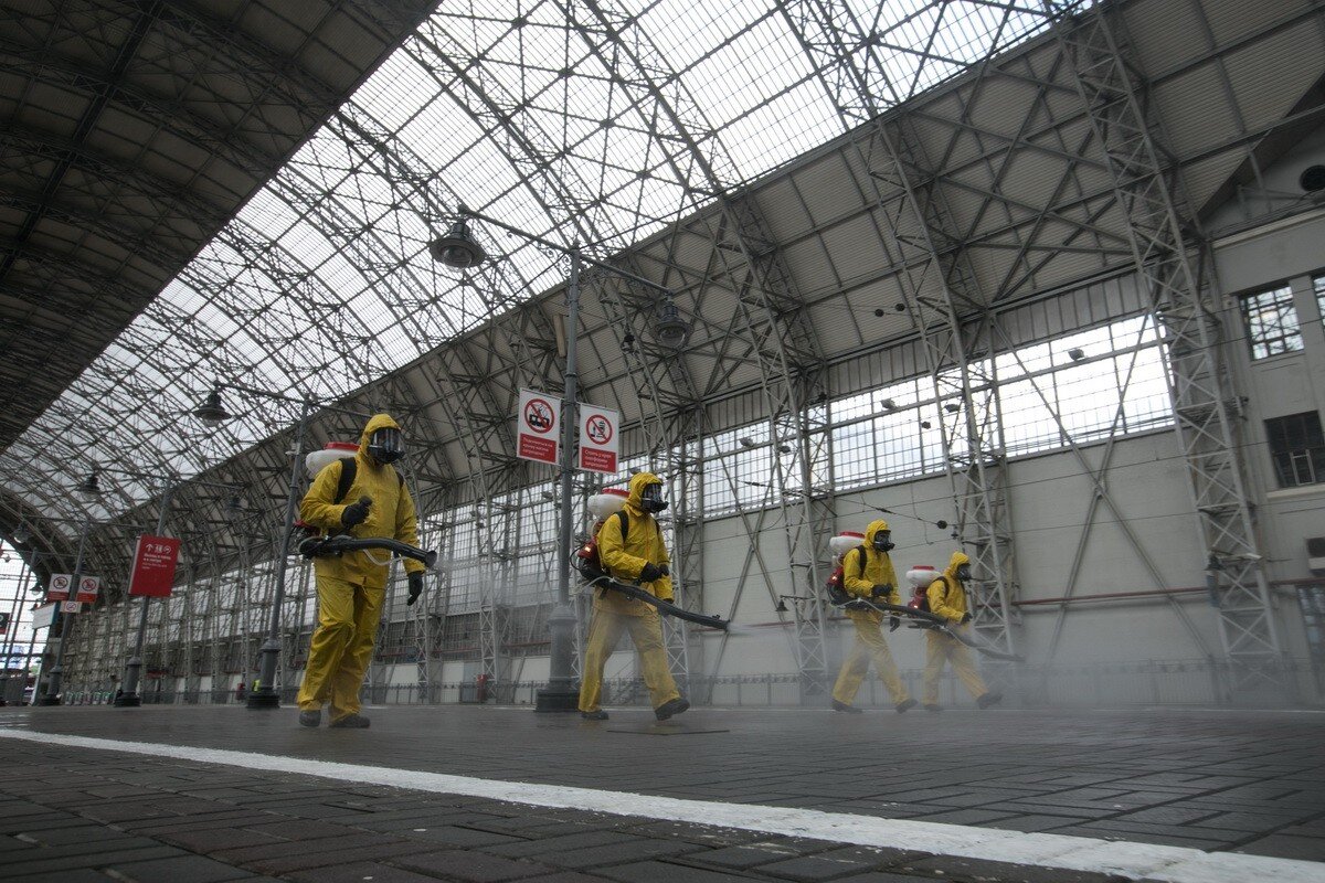 Источник изображения: Яндекс Картинки