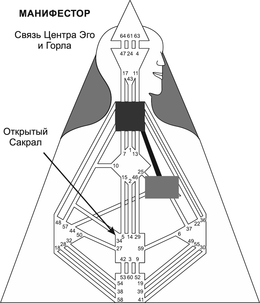 проектор 4 6 дизайн человека. дизайн человека - human design. иосиф сталин бодиграф. контуры в дизайне человека. проектор 4 6 дизайн человека.