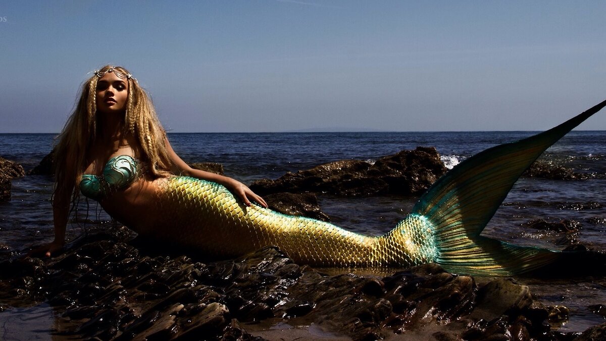 Русалки — таинственные водные обитатели, которых боялись и о которых слагали легенды. Их образы встречаются в культурах народов по всему миру, да и сейчас это один из самых популярных персонажей массовой культуры. Но существуют ли русалки в действительности,сейчас  я попробую выяснить.
