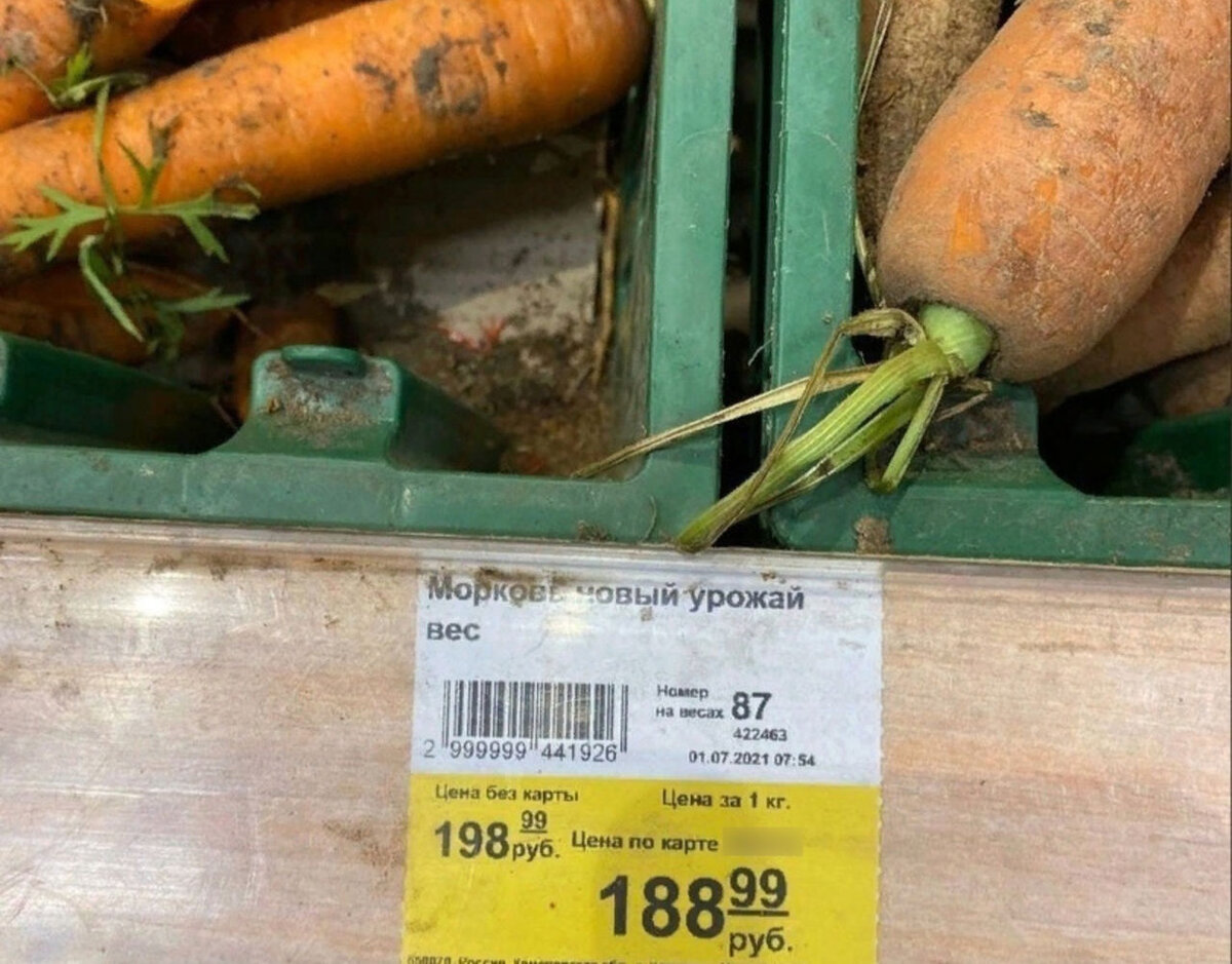 Яндекс-картинки. Цена указана на 1.07.2021г. Кузбасс