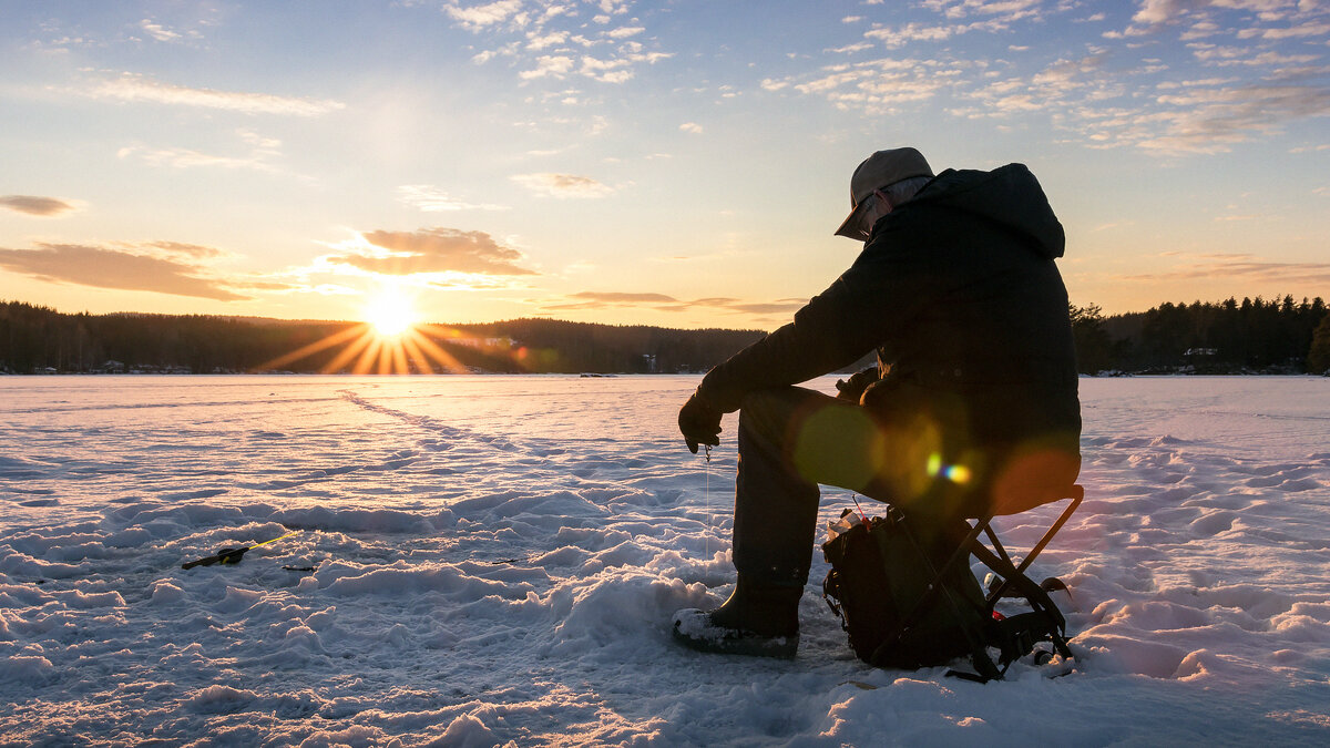 Источник фото: pixabay.com