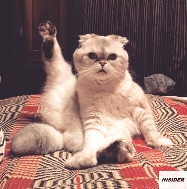 Источник: Оливия Бенсон в Instagram @taylorswift