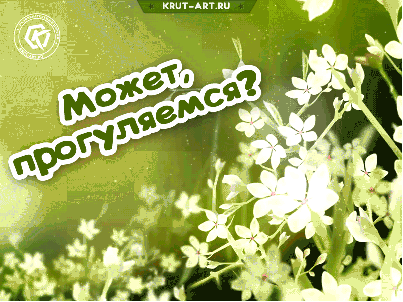 Прикольная картинка с цветами и приглашением прогуляться для друзей. Позовите друзей пройтись вместе оригинальной открыткой.