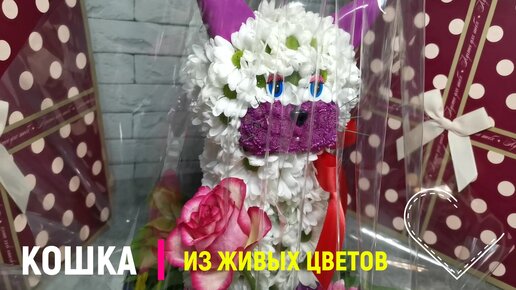 Мягкие игрушки в Подольске