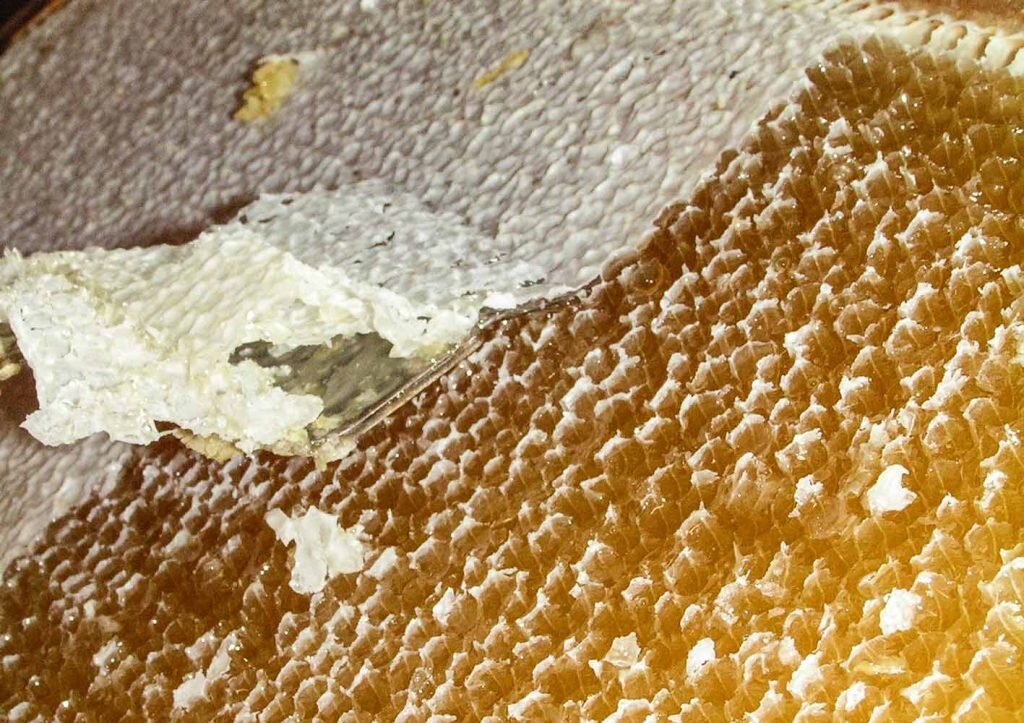 Как применять чудо-мазь из пчелиного воска и желтка?