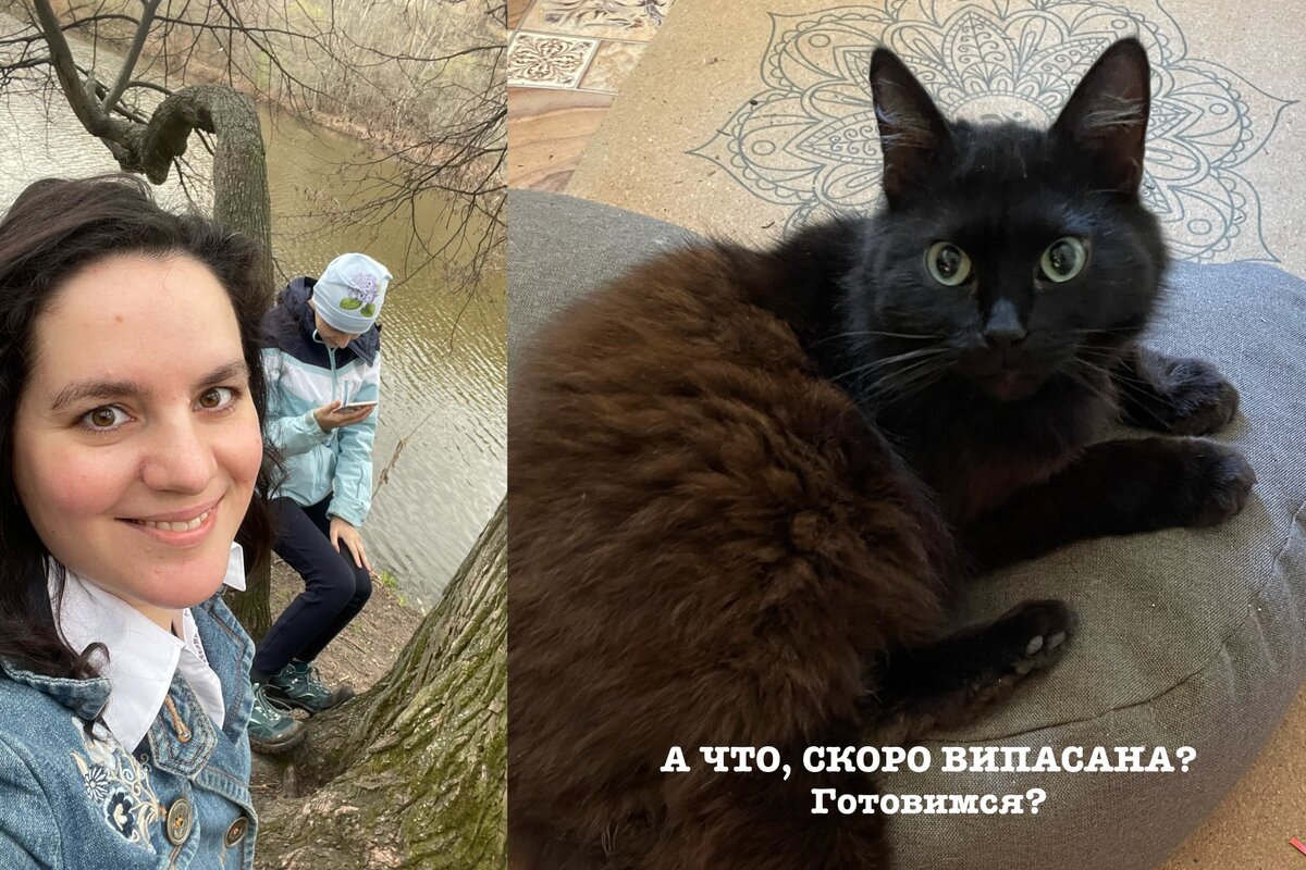 «Скоро Випасана, собираемся!» - «Ой, пора?»))) Анна Подолина с дочкой на прогулке, любимица кошка на подушке для йоги.