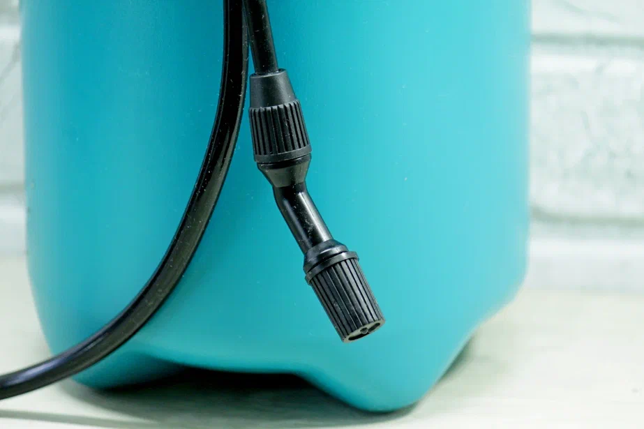 Фото и коллекция автора Masteritayaplants