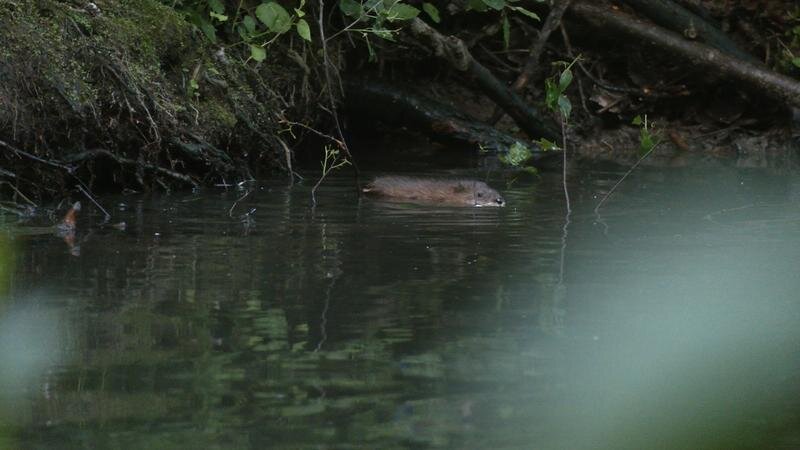    Фото: vk.com/kazdoytvaripopare