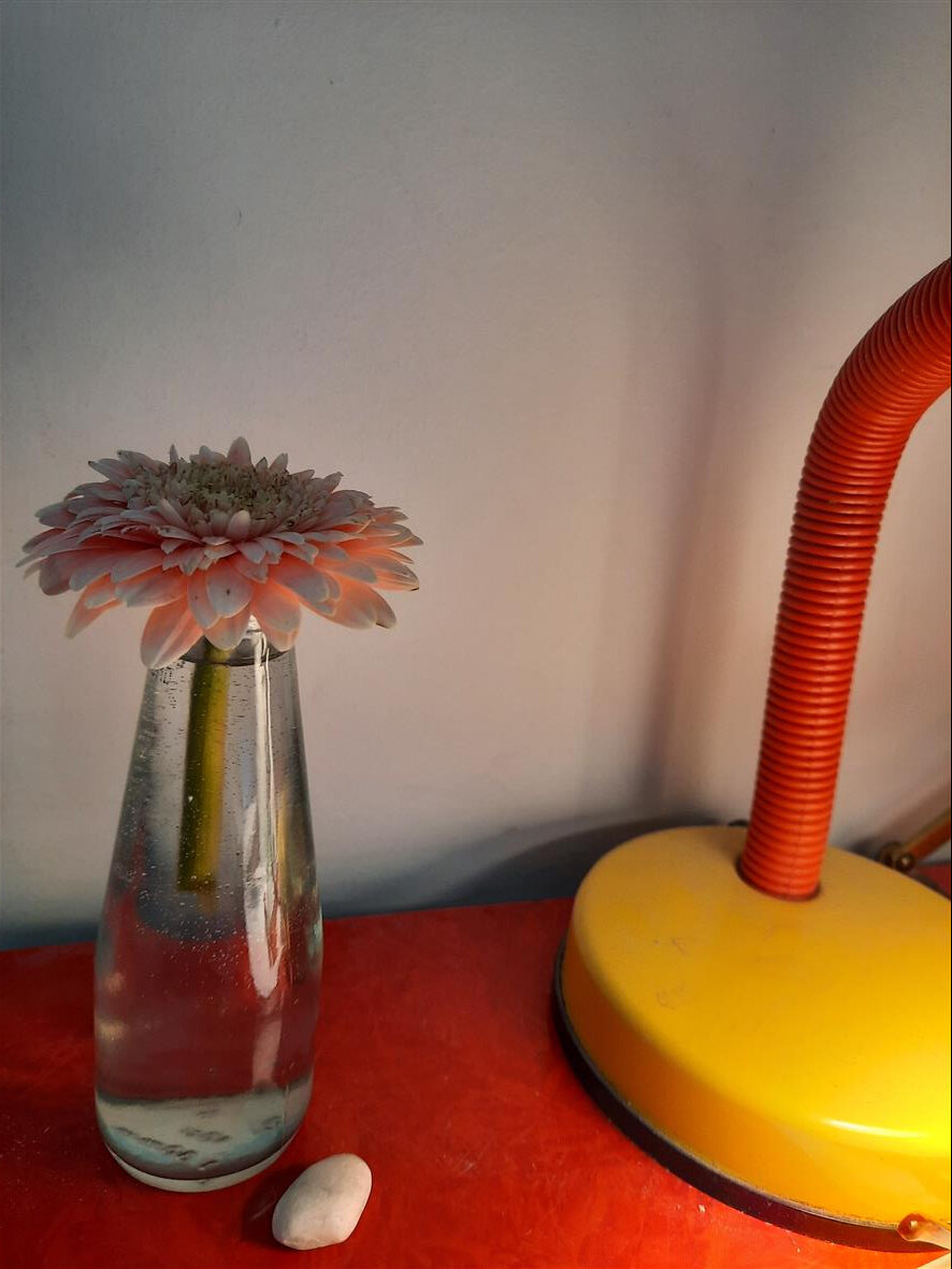 Цветочек на рабочем месте всегда радует