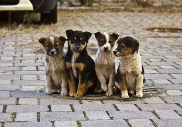 Фото: krasivosti.pro 
