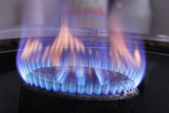    В ФРГ могут ввести нормированное потребление газа из-за остановки «Северного потока»