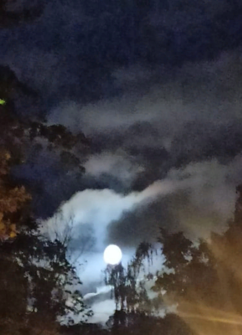 фото авторское