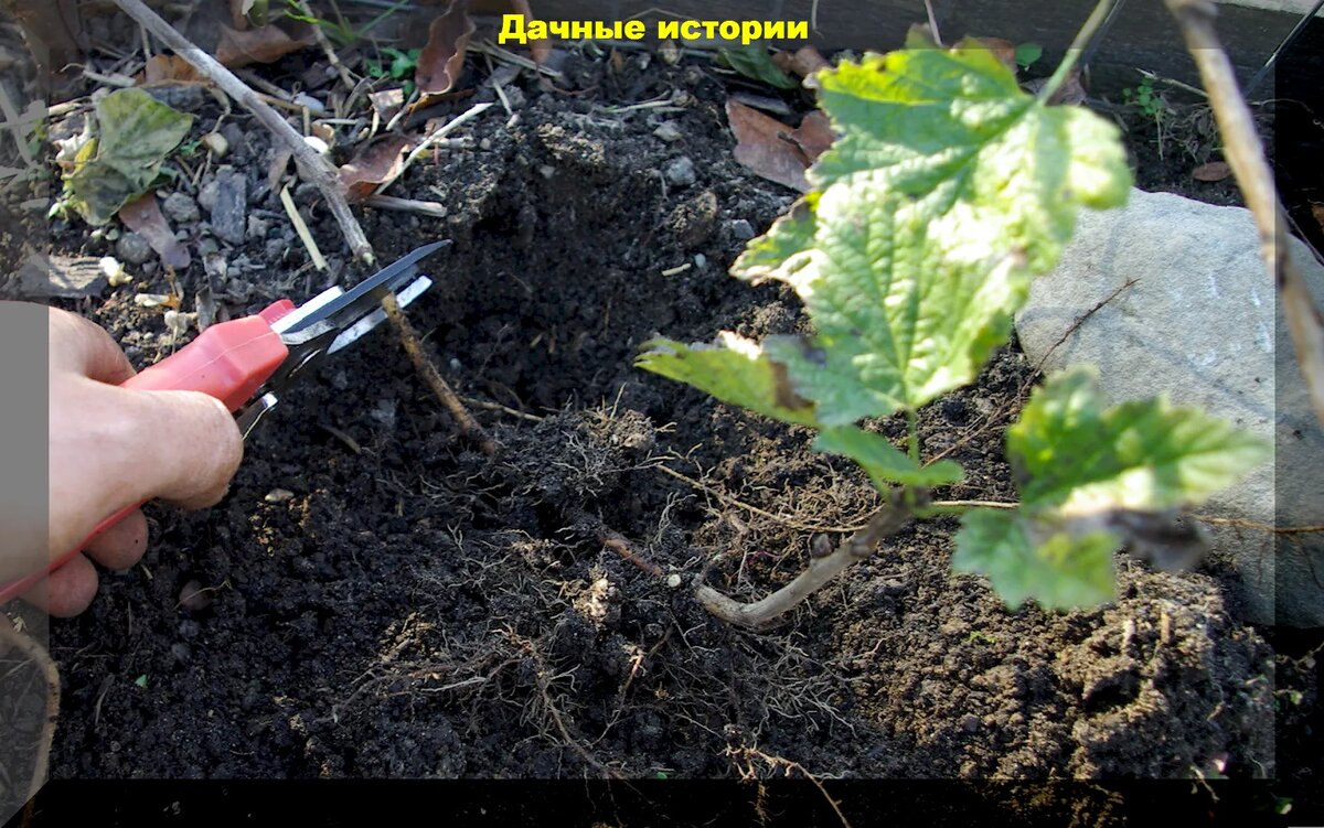 https://vk.com/photo-159774511_457255689