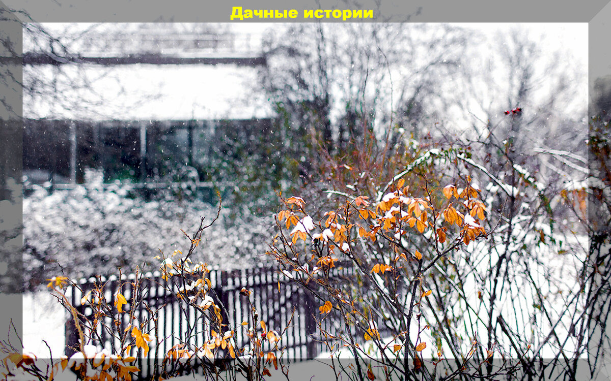 https://vk.com/photo-159774511_457256971