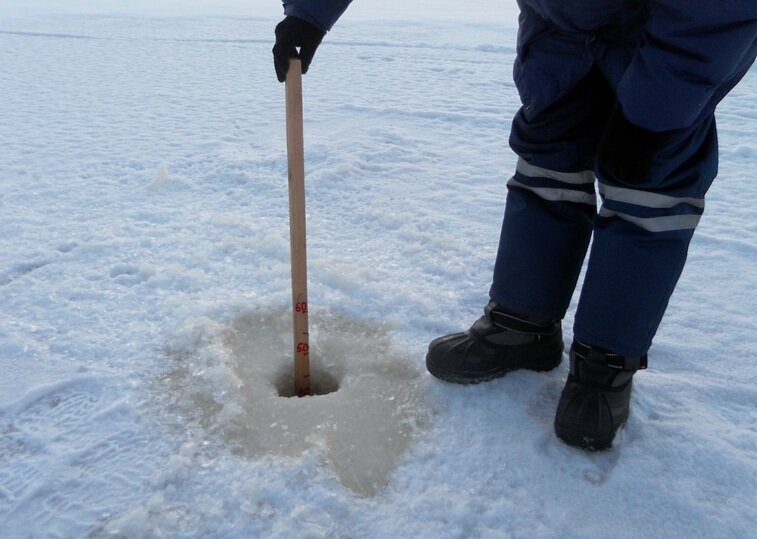     Фото: ГУ МЧС России по Томской области