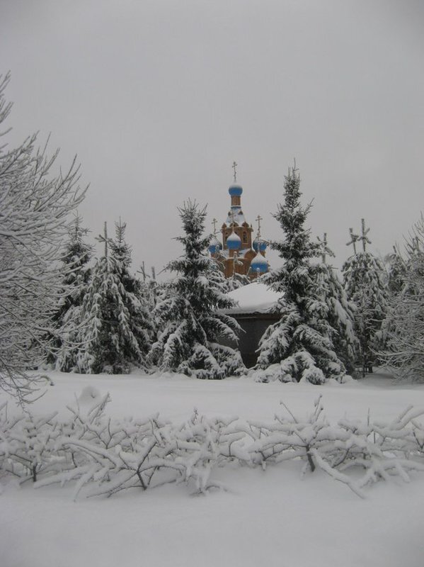 Фото из открытого источника Яндекс 