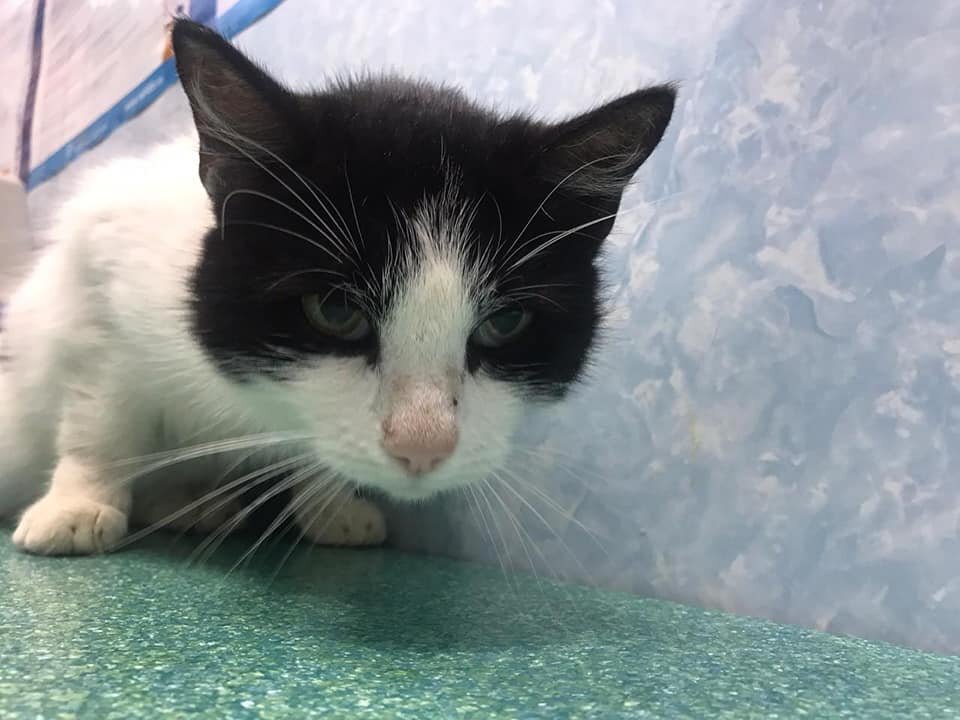 Что с такими бывает на улице? Правильно. Не жильцы