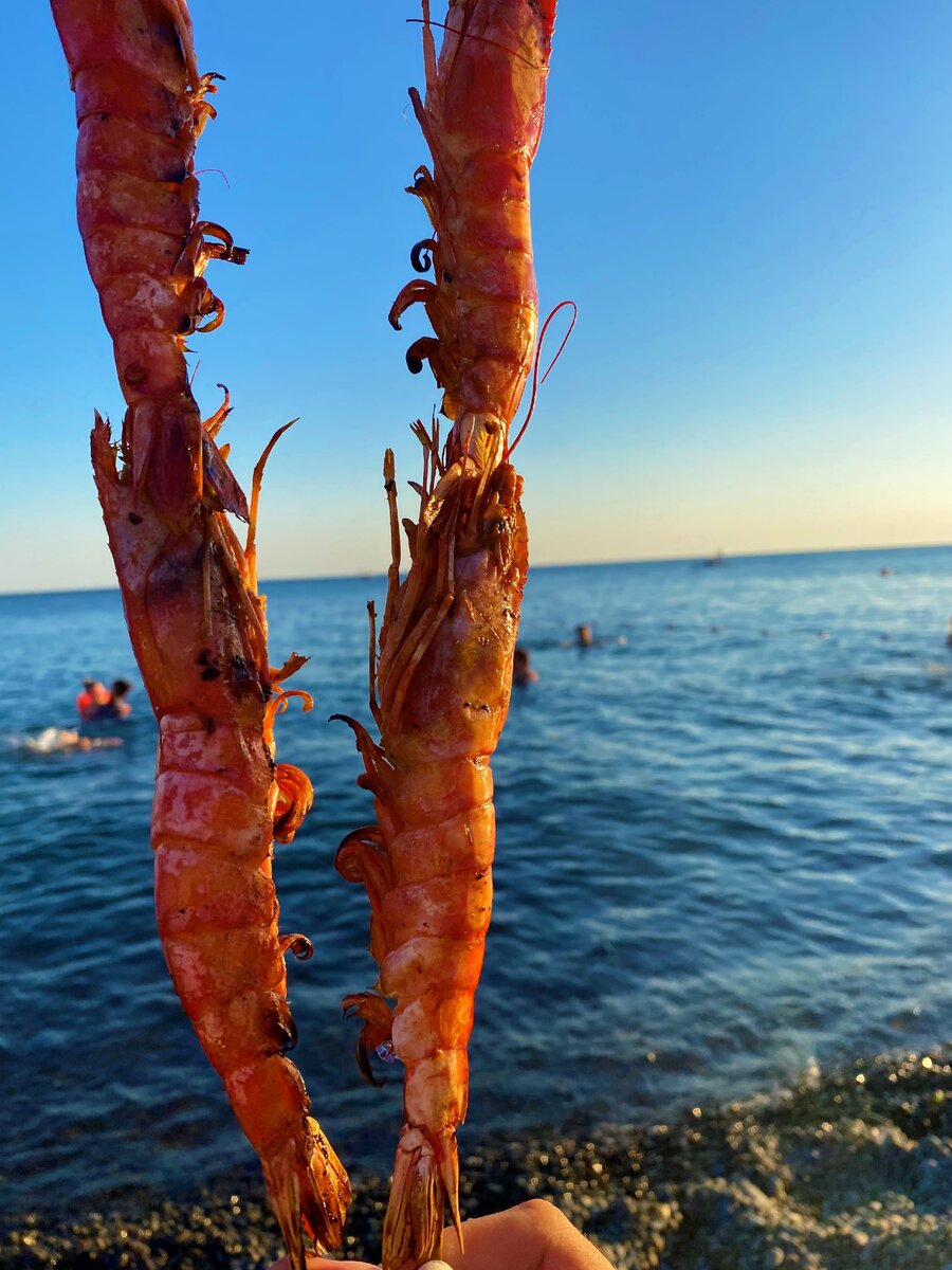 Есть ли в море креветки