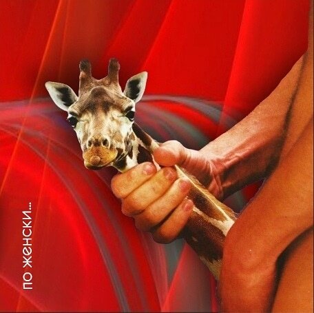 ДЕНЬГИ ПО ЖЕНСКИ

Привет деньжата!

Нет денег мужских и женских. Деньги это деньги. О чем тогда диалог? Расходимся? 

А вот есть разница. Разница в стратегии и душевном состоянии.

Мальчикам деньги идут когда они напрягаются. Делают. Преодолевают.

Девочкам когда она расслабляется. Т.е. когда она расслаблена, даже если заводом руководит.

Мы ведь не зря разделены на М и Ж. У нас есть определённое качество энергии. У девочек одна, у мальчиков другая. И когда мы её даём миру и людям, то нам возвращается деньгами.

Так вот мальчик не может её давать когда он расслаблен, а девочка когда напряжена.

Мальчик строит. Девочка чувствует. Что чувствует, то и получает. Чувствует напряжение, усталость, ну это получает. 

Мораль сей басни такова:
Деньги приходят в жизнь женщины когда она расслаблена и не выполняет мужские функции. Если и выполняет, то через "хочу", а не через "надо".

Отдайте яйца мужчинам.

Дз. Вспомни ситуации когда к тебе легко приходили деньги. В каком состоянии ты была? 
И наоборот, когда их не было, то в каком ты была состоянии? 
Результаты пиши в коммент, пообщаемся.

И не забудь отправить пост  подругам, об этом должны знать все девочки!

Да прибудут с тобой деньги!
Money coach Мария Сабурова