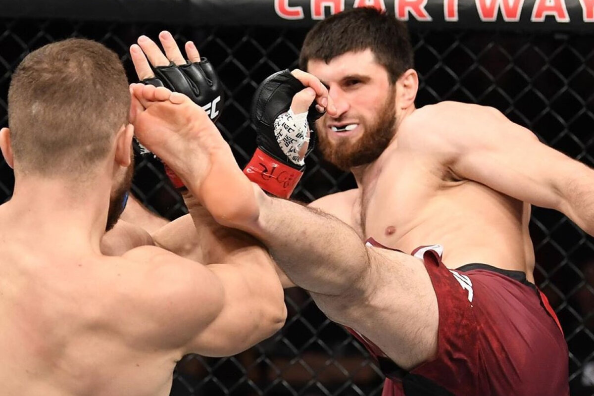 Битва с Халком: UFC готовит огненный реванш Анкалаева и Куцелабы