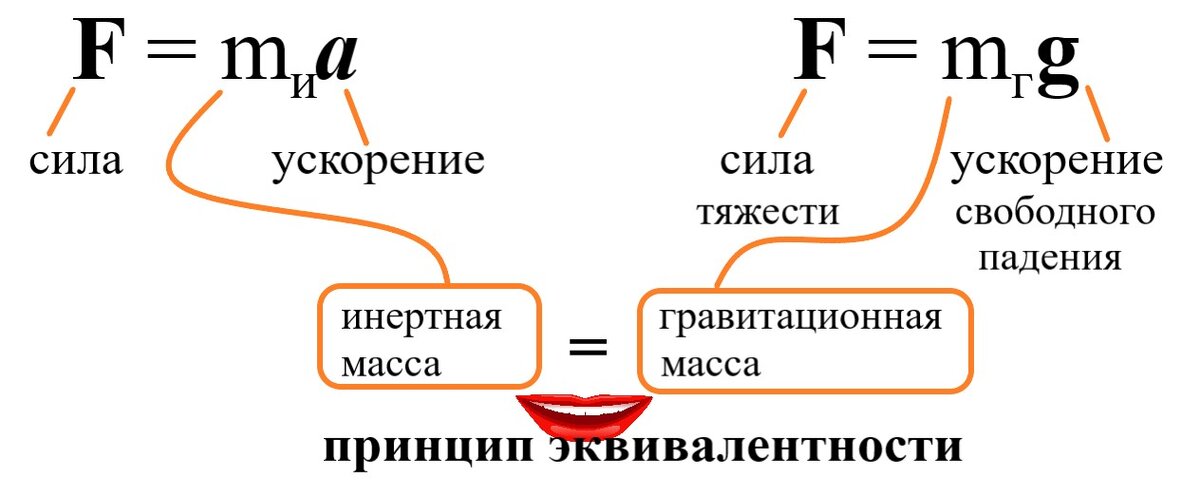 На рисунке приведена формула второго закона Ньютона и формула для силы тяжести (частный случай закона всемирного тяготения). Равенство масс в этих формулах - один из фундаментальных принципов природы - принцип эквивалентности. В окончательном виде этот принцип был сформулирован Эйнштейном в Общей теории относительности. 
