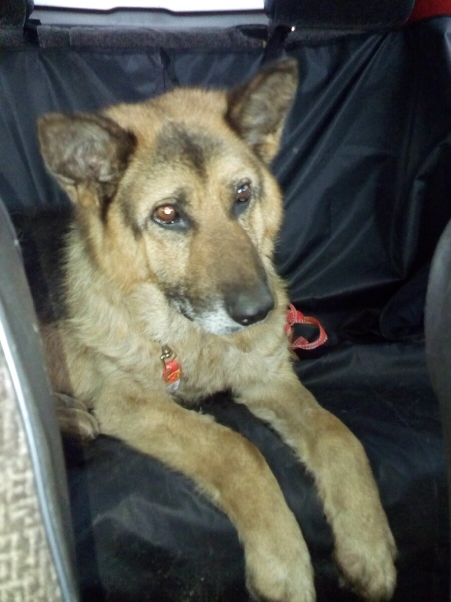 Граф едет в машине