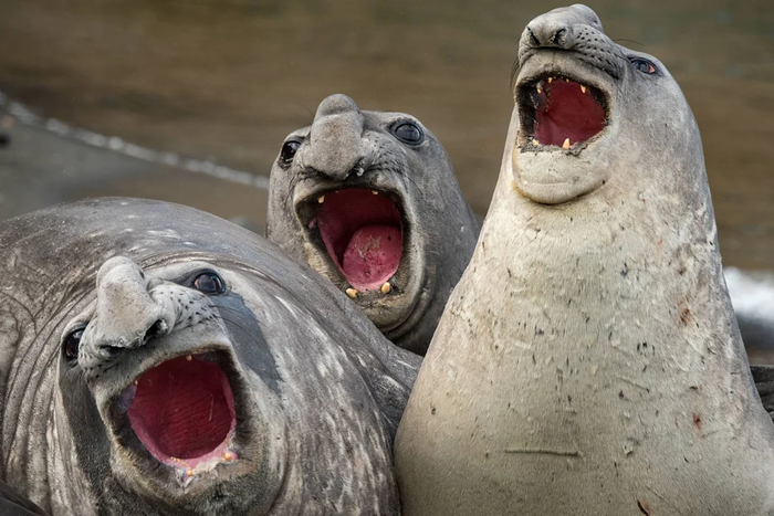 картинка взята из открытых источников