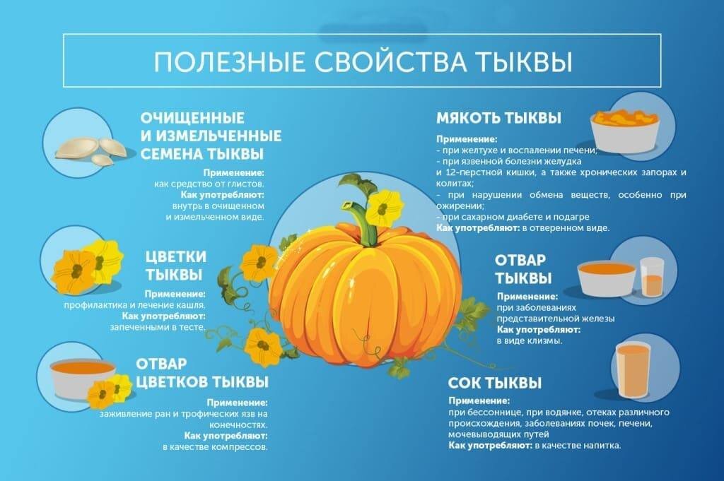 Польза тыквы для организма