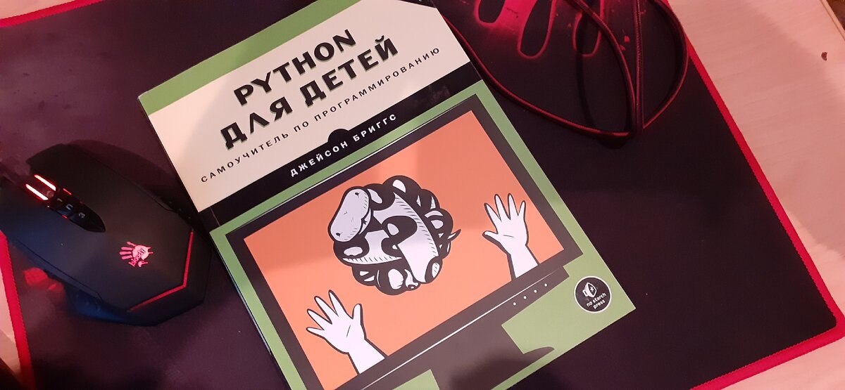 книга по изучению python.