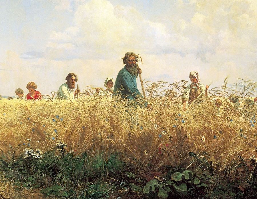 Века поле