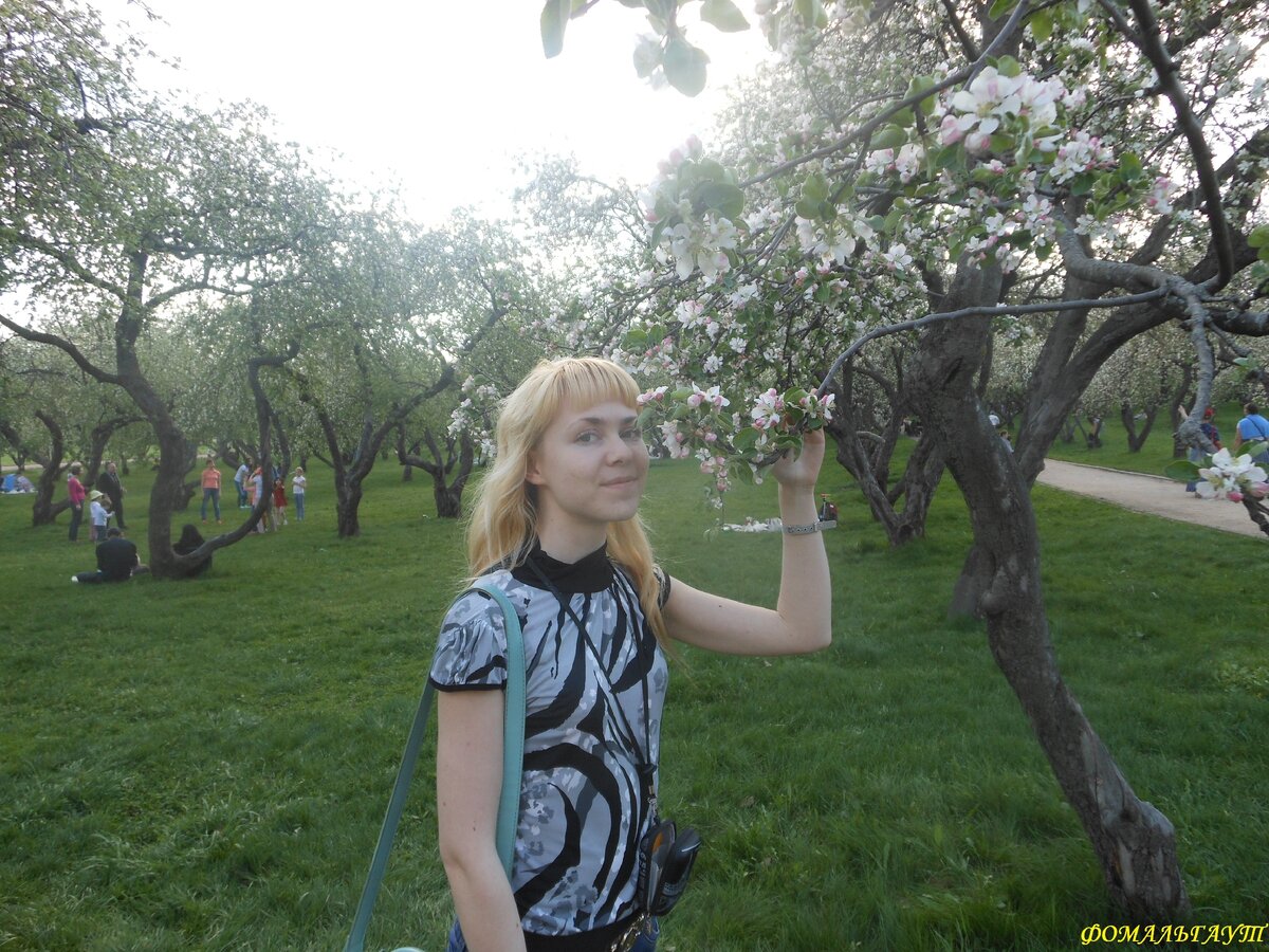 Коломенское в мае, цветение яблонь и сирени, фото из личного архива автора