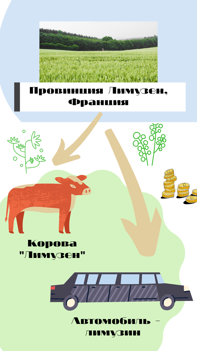 Фото из личного архива 