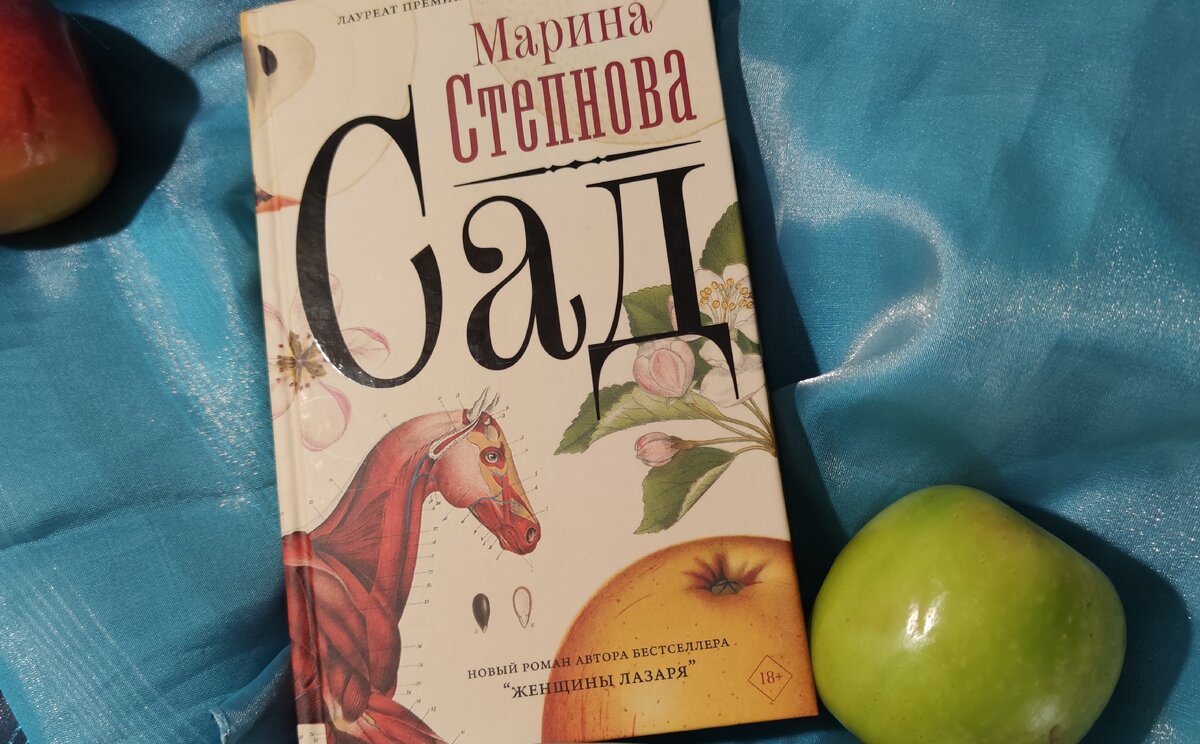 Степнова сад читать. «сад» марины степновой.. обложка книги степнова сад.