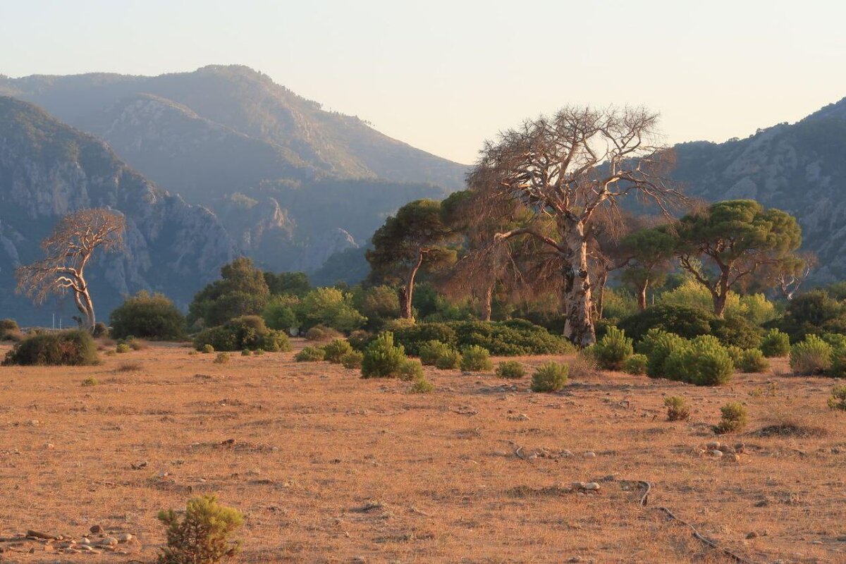 Чиралы, по дороге к морю